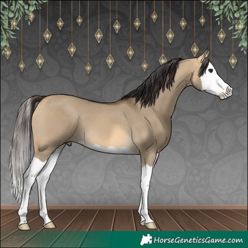Horse Color:Buckskin Dun Splash 