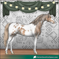 Horse Color:Chocolate Palomino Sabino Tobiano Appaloosa 