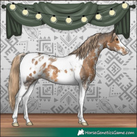 Horse Color:Chocolate Palomino Sabino Tobiano Blanket 