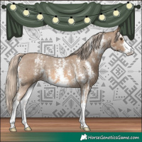 Horse Color:Chocolate Palomino Sabino Varnish