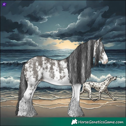 Horse Color:Grullo Sabino Rabicano 
