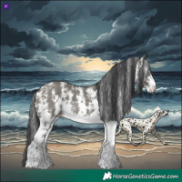 Horse Color:Grullo Sabino Rabicano 