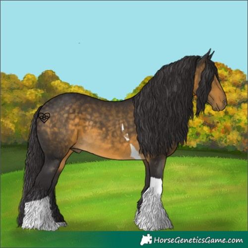 Horse Color:Buckskin Tobiano 