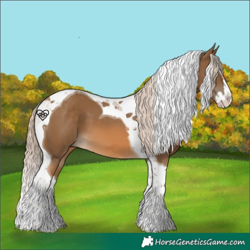 Horse Color:Chocolate Palomino Splash Tobiano