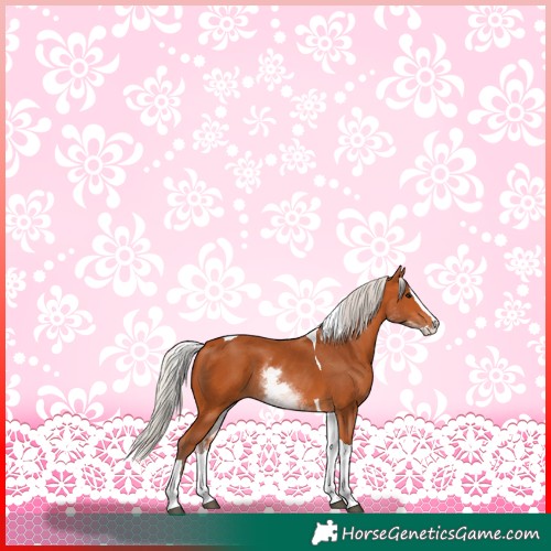 Horse Color:White Spotted Silver Bay Splash Tobiano 