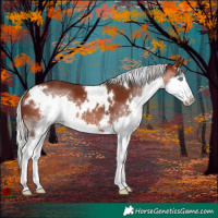 Horse Color:White Spotted Silver Brown Splash 