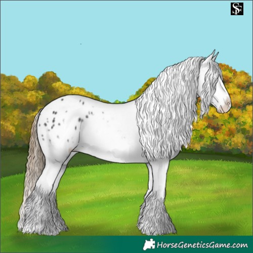 Horse Color:Smoky Black Blanket Rabicano 