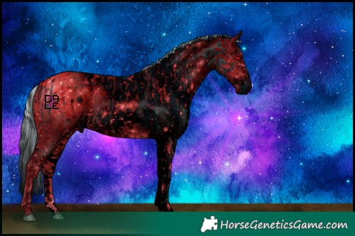 Horse Color:ERROR: UNKNOWN ANOMALY and ERROR: UNKNOWN ANOMALY