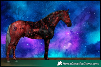 Horse Color:ERROR: UNKNOWN ANOMALY and ERROR: UNKNOWN ANOMALY