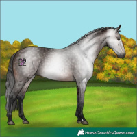 Horse Color:Gray Bay 