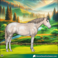 Horse Color:Perlino Sabino Rabicano