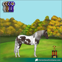 Horse Color:White Spotted Silver Brown Tobiano 
