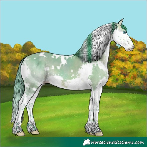 Horse Color:Watercolor White Spotted Bay Dun Splash 