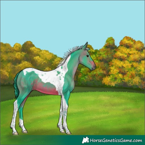 Horse Color:Watercolor Brown Tobiano 