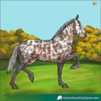 Horse Color:Silver Brown Ice 