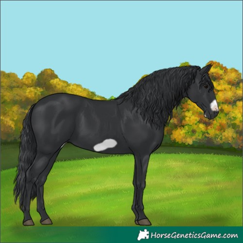 Horse Color:Black Frame