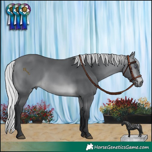 Horse Color:Silver Brown Chinchilla 
