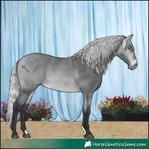 Horse Color:Silver Bay Chinchilla Rabicano 