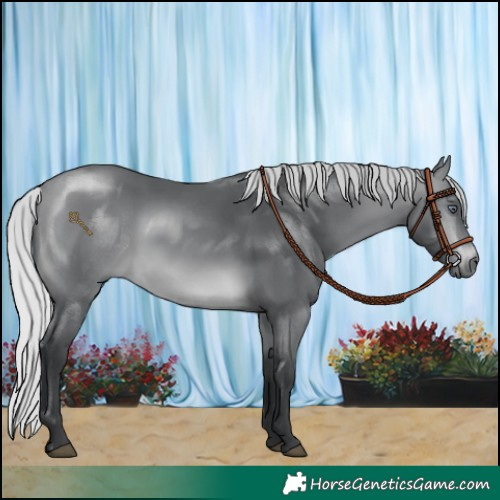 Horse Color:Silver Brown Chinchilla Rabicano 