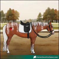 Horse Color:Powder White Chocolate Silver Brown