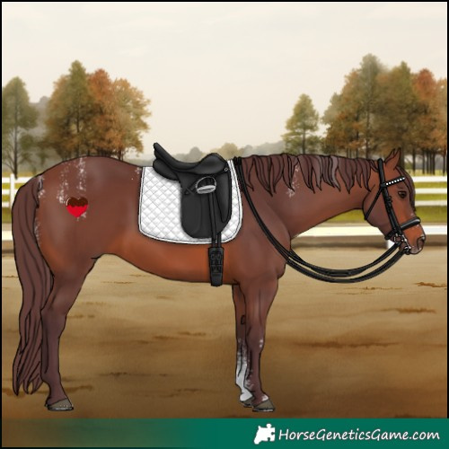 Horse Color:Powder White Chocolate Brown