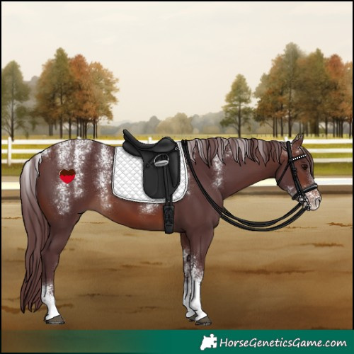 Horse Color:Powder White Chocolate Brown 