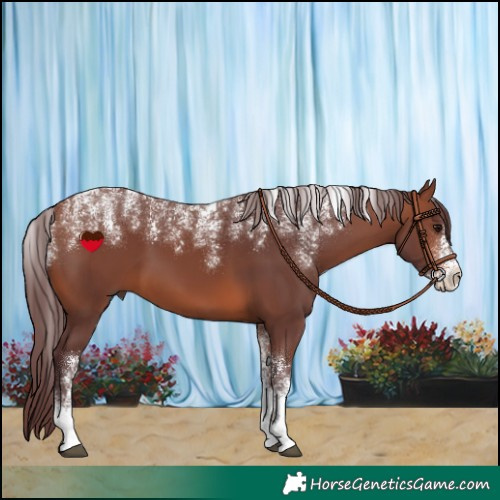 Horse Color:Powder White Chocolate Brown 