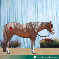 Horse Color:Powder White Chocolate Brown 