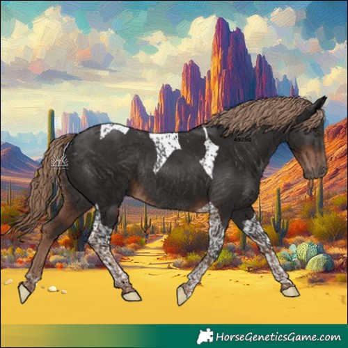 Horse Color:Liver Chestnut Tobiano Rabicano 