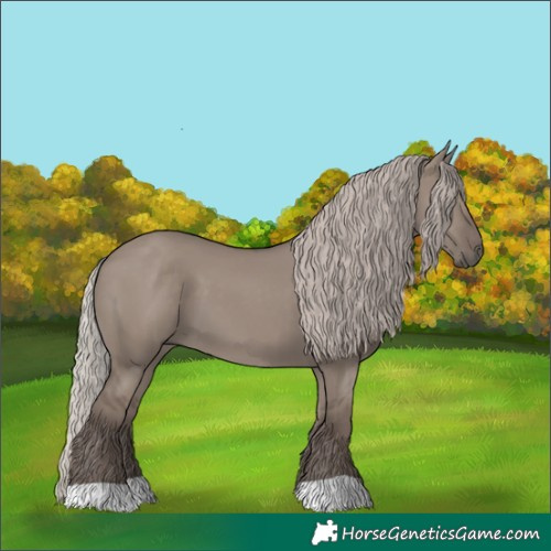 Horse Color:Silver Grullo 