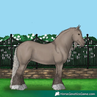 Horse Color:Silver Grullo