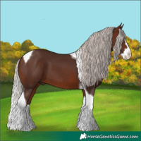 Horse Color:Silver Brown Splash Tobiano