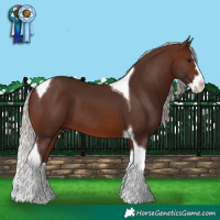 Horse Color:Silver Brown Splash Tobiano