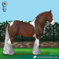 Horse Color:Silver Brown Splash Tobiano 