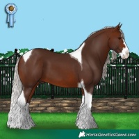 Horse Color:Silver Brown Splash Tobiano 