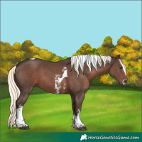 Horse Color:Liver Chestnut Mushroom Sabino Tobiano