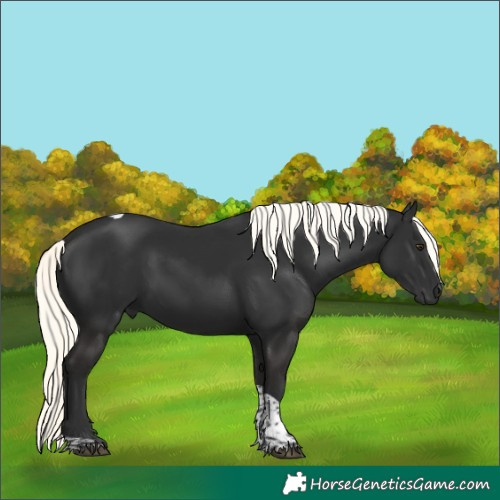 Horse Color:White Spotted Liver Chestnut Mushroom Tobiano 