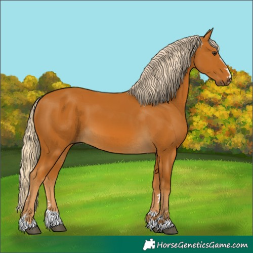 Horse Color:Palomino