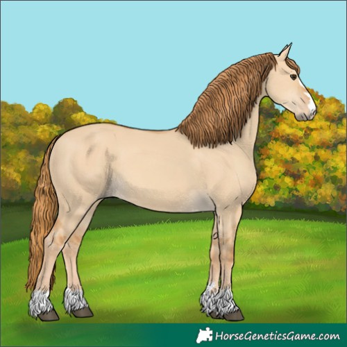 Horse Color:Red Dun 