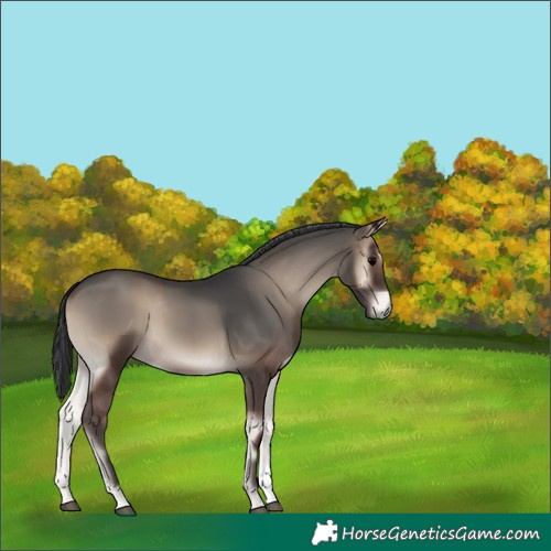 Horse Color:Blue Onyx Tobiano 
