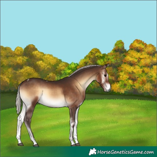 Horse Color:Silver Brown Onyx Tobiano 