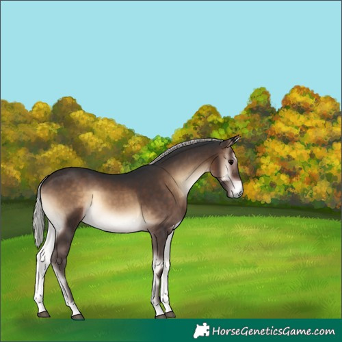 Horse Color:Silver Brown Onyx 
