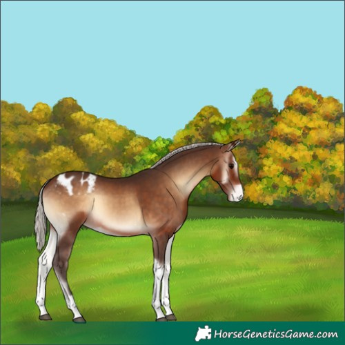 Horse Color:Silver Brown Onyx Tobiano Varnish 