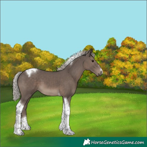 Horse Color:Silver Black Tobiano 