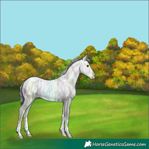 Horse Color:Silver Black Ice Tobiano 