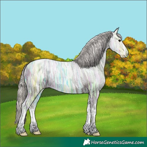 Horse Color:Silver Black Ice Tobiano 