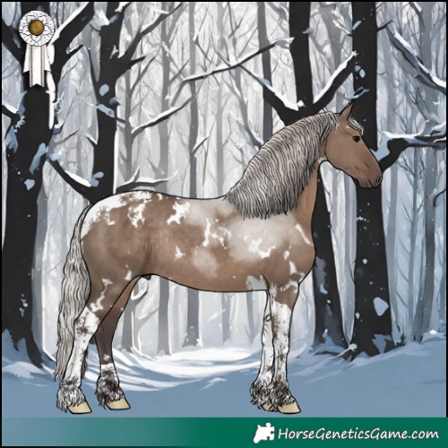Horse Color:White Spotted Silver Grullo Tobiano Rabicano 