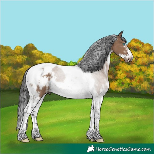 Horse Color:White Spotted Liver Red Dun Tobiano Frame Rabicano 
