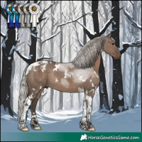 Horse Color:White Spotted Silver Grullo Tobiano Rabicano