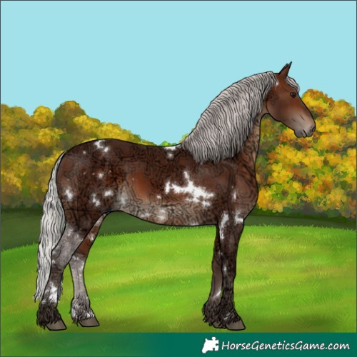 Horse Color:White Spotted Silver Brown Ice 